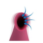 Shegasm Intense 2 in 1 Clit Stimulator - Image 5